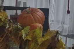 Фирменные блюда из картофеля