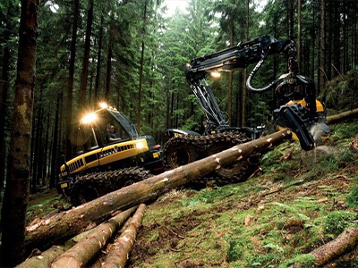 Лесное дело