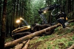 Лесное дело