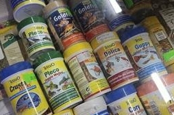 Корма для рыб