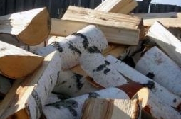 Берёзовые дрова в Витебске