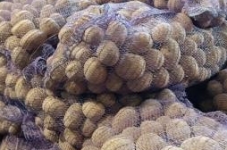 Домашний картофель