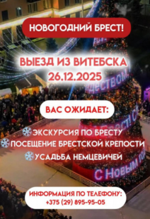 Новогодний Брест!