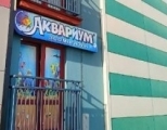 Магазин «Аквариум»