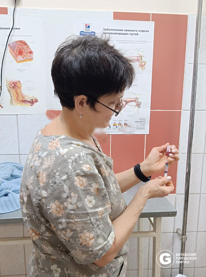 Вакцинация животных