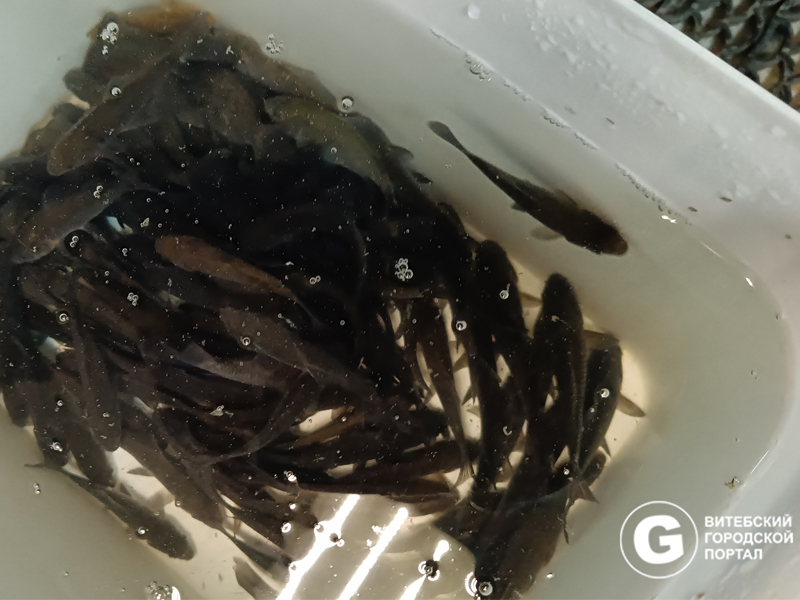 Зимний ассортимент