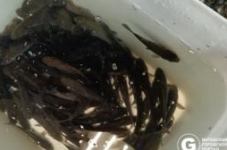 Зимний ассортимент