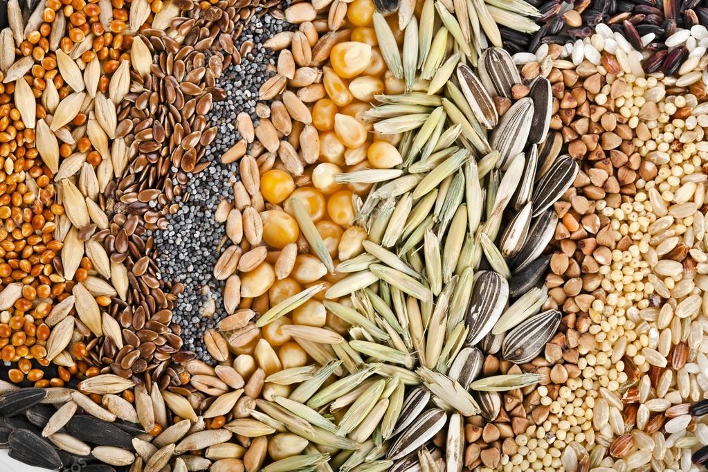 Реализация семян озимых зерновых и крестоцветных культур
