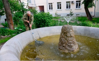 В одном из витебских фонтанов теперь плавают рыбки