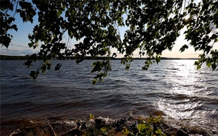 Белгидромет: на реках Беларуси будут наблюдаться колебания уровней воды с тенденцией к повышению