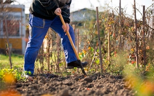 Нужно ли перекапывать огород осенью? Разбираемся