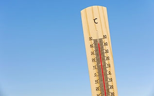 Ученые предупредили, что 2024 год может стать самым жарким в истории наблюдений