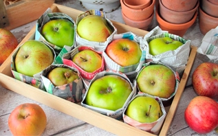 Как дольше сохранить яблоки? Узнали у садовода с большим стажем
