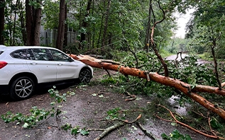 Витебское областное УМЧС рассказало о правилах безопасности во время урагана и сильного дождя