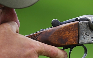 Ноябрь в Беларуси объявлен месяцем охотничьего туризма