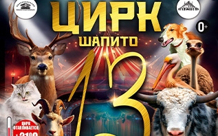 Невероятное цирковое представление в Витебске: шоу, которое нельзя пропустить!