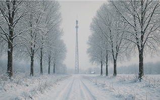 Связь для абонентов А1 стала лучше в Витебской области: завершен новый этап расширения 4G-сети