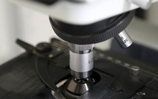 Белорусские ученые вывели на рынок аналог импортного лекарства для лечения эпилепсии