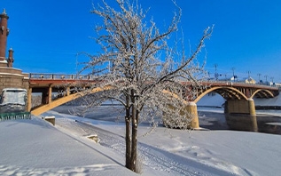 Холодный старт февраля: что говорят синоптики о погоде в Витебске и области на ближайшее время