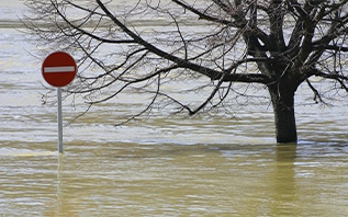 Почему снежная зима в Витебской области грозит паводками?