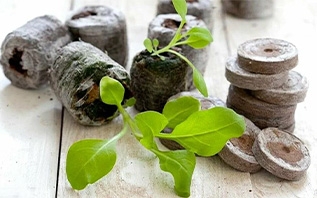 Стоит ли покупать торфяные таблетки для рассады?