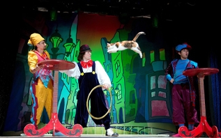 Владимир Куклачёв: «Кошек невозможно обмануть»