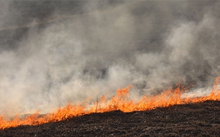 Жечь или не жечь? Вот в чём вопрос... Разрешены ли палы травы, разъяснили в МЧС