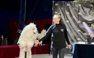 Цирк с сюжетом и 30+ животными: каким будет «13 метров» в Витебске